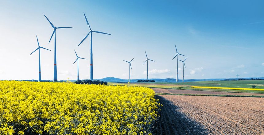 Bild vom Rapsfeld und Windenergie Anlagen